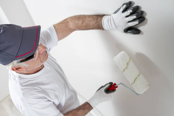 Best Environmental Consulting for Mold Prevention  in Covington, OH