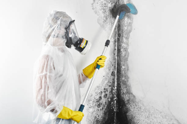 Mold Remediation for Rental Properties in Covington, OH