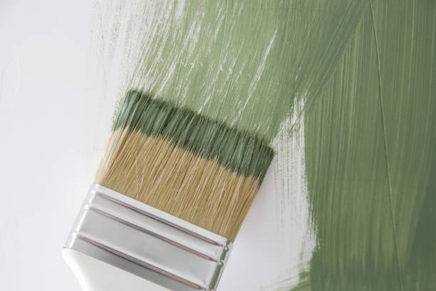  Covington, OH Mold Removal Pros
