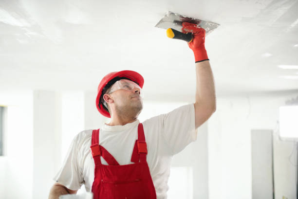 Best Comprehensive Air Testing for Mold Contaminants  in Covington, OH