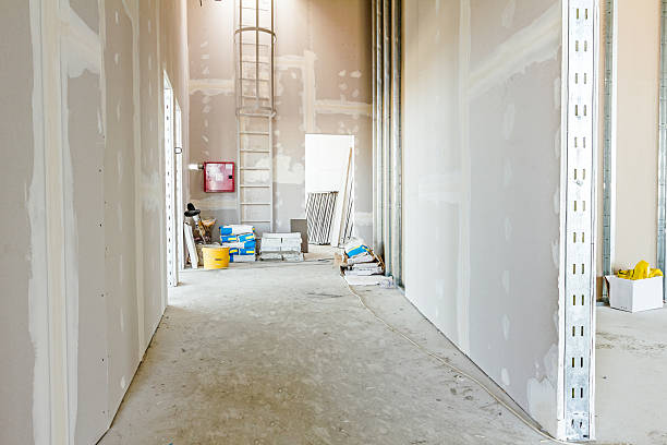 Best Mold Remediation for Rental Properties  in Covington, OH