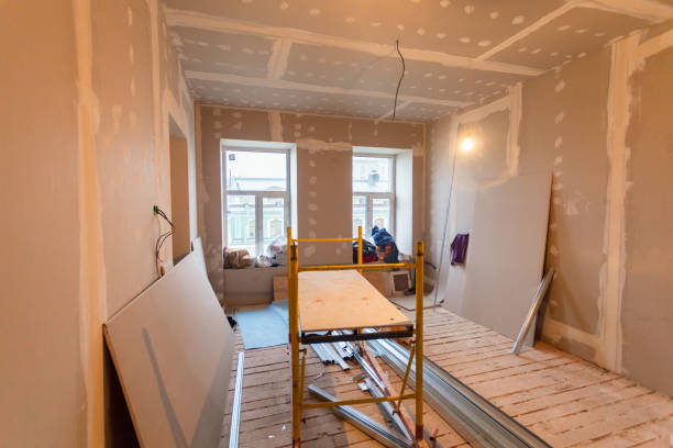 Best Basement Mold Removal  in Covington, OH